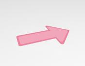 Pijl basis- Vloersticker -  20x30cm (10 stuks) - Kleur: Pink